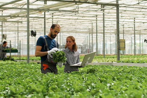 Soluciones tecnologícas para industrias de agronegocios | PID Electronics